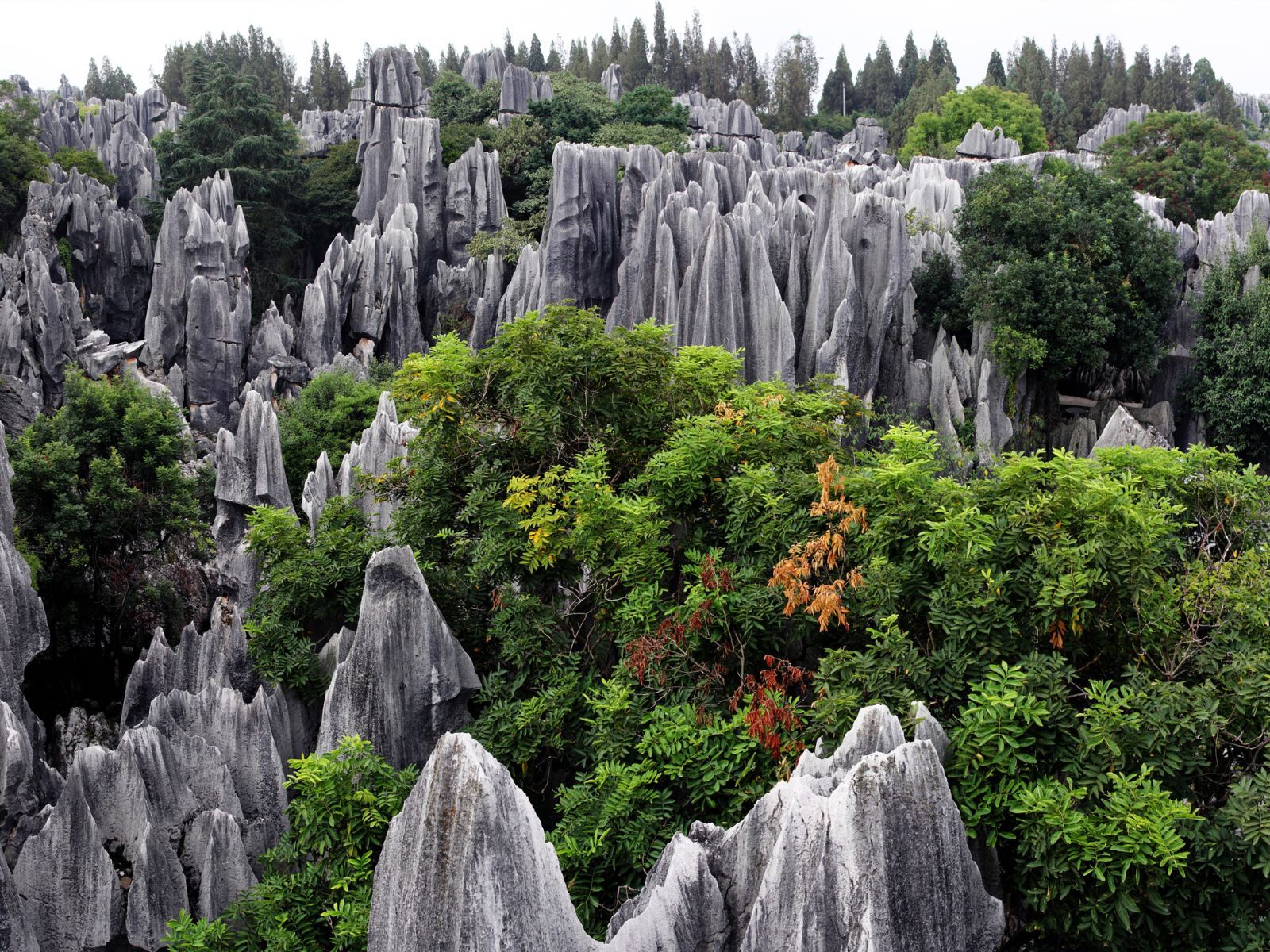  Shilin stone forest (China)